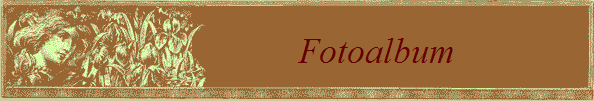 Fotoalbum               