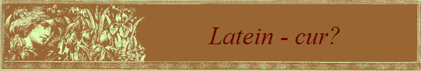 Latein - cur?            