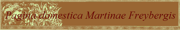 Pagina domestica Martinae Freybergis 
